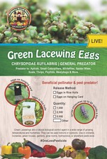 Green lacewing eggs for sale  Santa Paula
