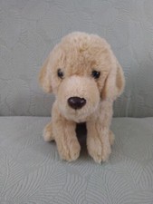 Golden lab retriever for sale  Providence