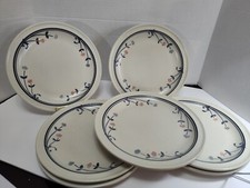 Pfaltzgraff windsong dinner for sale  Beeville