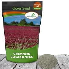Crimson clover seeds for sale  Brentwood