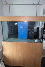 4ft aquarium fish for sale  CONSETT
