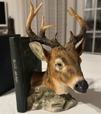 Whitetail deer head for sale  Aynor