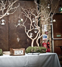 Sandblast manzanita branches for sale  CHIPPENHAM