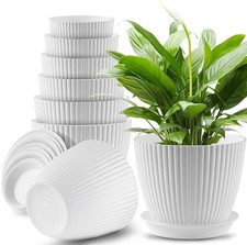 Plant pots indoor for sale  SUNDERLAND