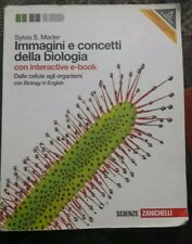 Libro immagini concetti usato  Cosenza