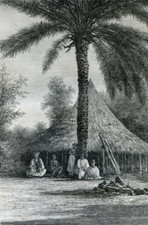Senegambia bacary lombi d'occasion  Saint-Cyprien