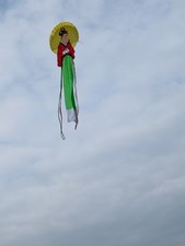 Traditional 26ft chang for sale  REDCAR