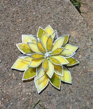 three succulents for sale three succulents for sale Ashland