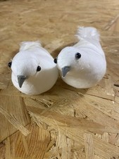 Weiße tauben stk gebraucht kaufen  Bad Salzungen