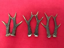 Pairs roe deer for sale  DUNDEE