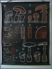 Affiche scolaire planche d'occasion  Agde