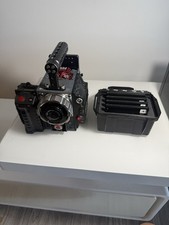 Red scarlet dragon for sale  Honolulu