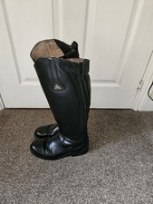 Reduced mountain horse for sale  BARNOLDSWICK