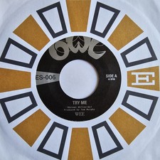 Wee try owl for sale  BILSTON