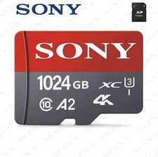 Micro 1tb sony usato  Padova