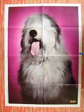Poster albo dell usato  Triggiano