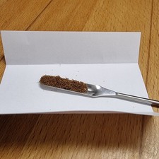 Platycerium superbum sporen gebraucht kaufen  Göttingen