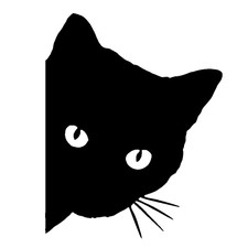 Sticker autocollant chat d'occasion  Narbonne