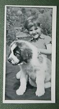 St. bernard puppy for sale  DERBY