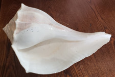 Natural real lightning for sale  Merrill