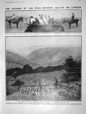 Old antique print for sale  UK
