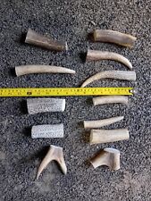 Deer antlers dog for sale  CARMARTHEN