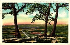 Vintage postcard million for sale  USA