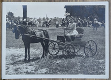 horse show cart for sale horse show cart for sale Elizabethtown