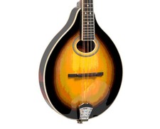Gold tone intermediate for sale  Winchester