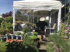 Surf turf 4.5m for sale Surf turf 4.5m for sale  PINNER