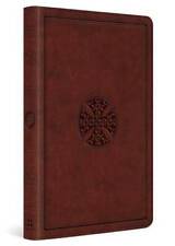 Holy bible english gebraucht kaufen  Remscheid