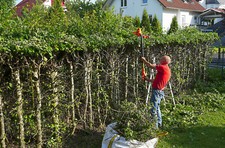 Elektro teleskopheckenschere p gebraucht kaufen  Eutingen im Gäu
