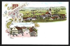 Lithographie haldenwang allgä gebraucht kaufen  Berlin