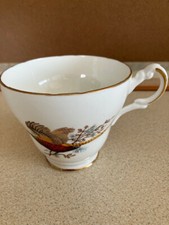 Argyle fine bone for sale  KETTERING