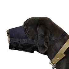 Dingo nylon muserolle d'occasion  Lyon I
