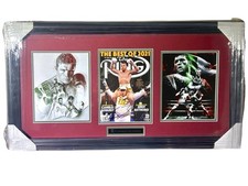Saul canelo alvarez for sale  Henderson