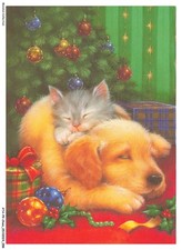 Atap9 0657 chien d'occasion  France