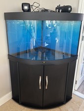 corner fishtank for sale corner fishtank for sale NORTHAMPTON