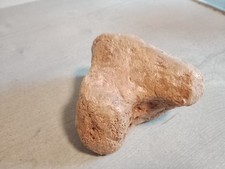mammutzahn gebraucht kaufen mammutzahn gebraucht kaufen Emden
