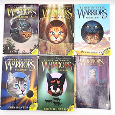 Lot warriors books for sale  Pawcatuck