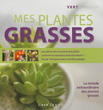 Plantes grasses andrea d'occasion  France