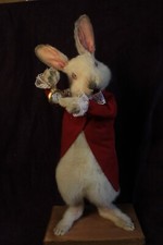 Taxidermie lapin conte d'occasion  Champagnole