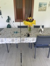 Canna spinning mare usato  Stromboli