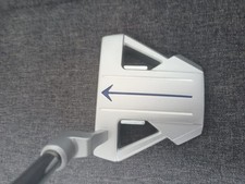 Long putter encore gebraucht kaufen  Kleinblittersdorf