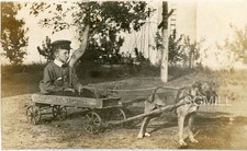Vagão de brinquedo foto antigo B16 moda menino puxado por cachorro olhos fechados, usado comprar usado  Enviando para Brazil