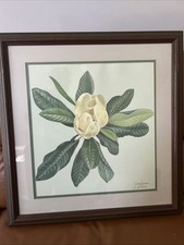 Ensor magnolia 1976 for sale  Radcliff