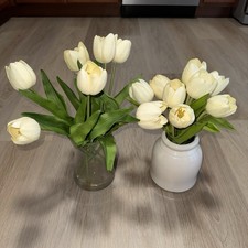 Set tulips flower for sale  Alexandria