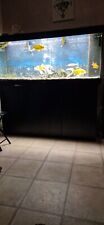 Juwel aquarium fish for sale  NOTTINGHAM