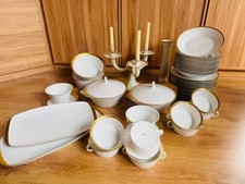 Rosenthal porzellan speiseserv gebraucht kaufen  Nürnberg