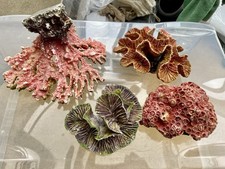 Set coral reef for sale  CHELTENHAM